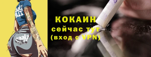 дмт Осинники