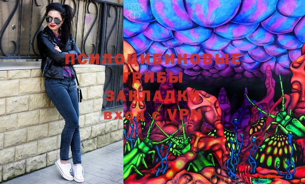 дмт Осинники