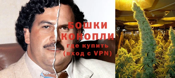 дмт Осинники