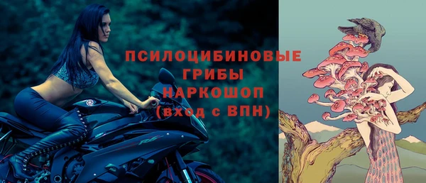 apvp Нязепетровск