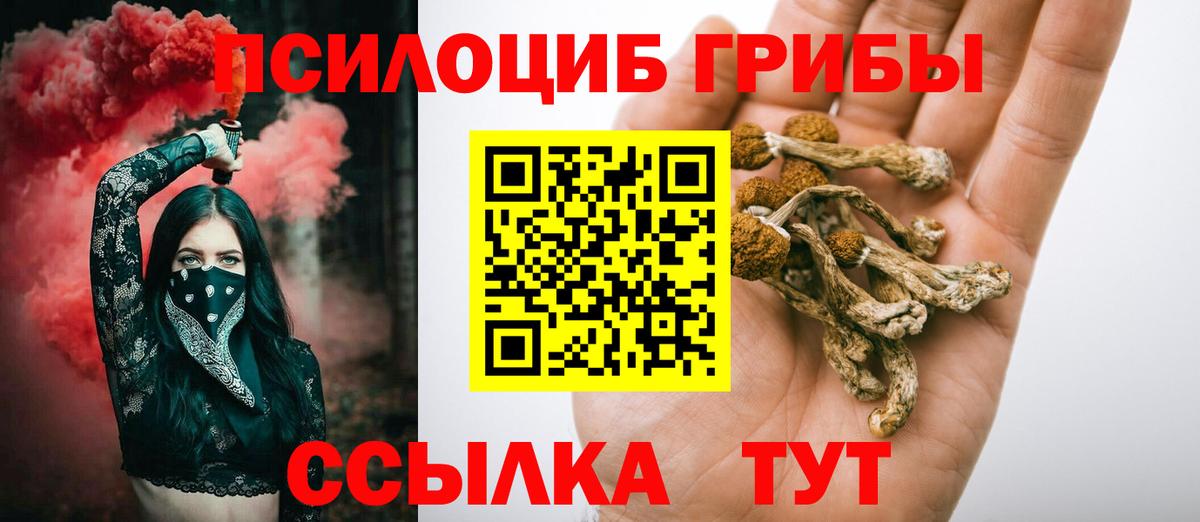 Ивантеевка  Псилоцибиновые грибы Psilocybine cubensis  Вход с VPN 